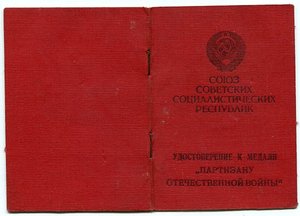 Док Партизан 1 степени