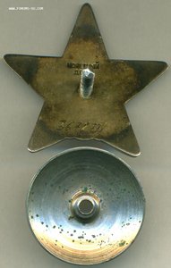 Звезда №3578771