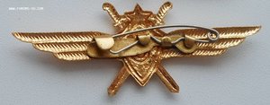 Крылышки лётчика 3 класс на заколке