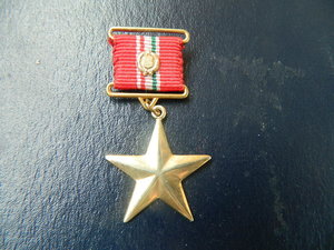 Герой Венгрии 2 тип бронза позолота