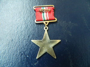 Герой Венгрии 2 тип бронза позолота