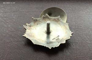 Невский на ТРИЖДЫ кавалера