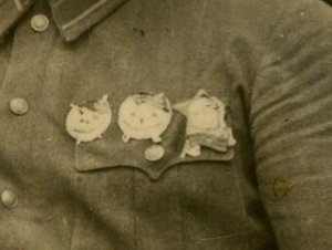 НКВДшник, РЭФ, 2 редких знака