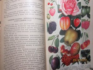 Домоводство 1957