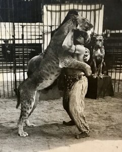 Первый русский укротитель львов 1934 год. Довоенный Цирк.