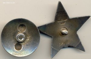 Морская пятка на доке (2261)