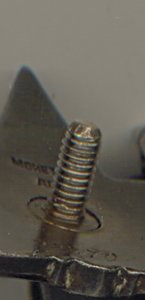 Морская пятка на доке (2261)