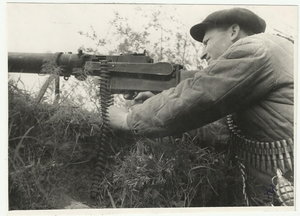 Партизаны. ГСС, Дети, Трофейное Оружие. 8 фото.