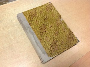 Журнал Гигиена и Здоровье рабочей и крестьянской семьи 1928