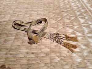 Компасная тесьма нить серебро с позолотой