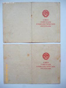 За победу над Германией и За доблестный труд в ВОВ!!!