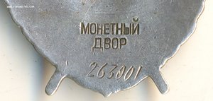 БКЗ дубликат, представляли к ГСС