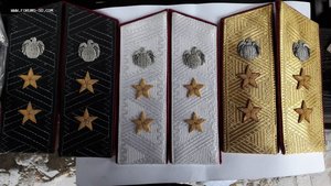 Погоны Генерал-лейтенанта Интерпола