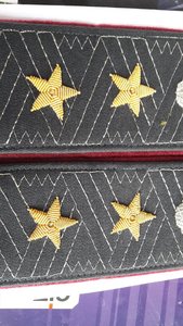 Погоны Генерал-лейтенанта Интерпола