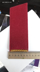 Погоны Генерал-лейтенанта Интерпола