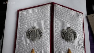 Погоны Генерал-лейтенанта Интерпола