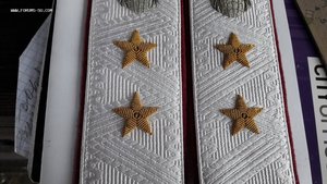 Погоны Генерал-лейтенанта Интерпола