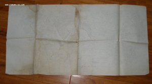 Карта РИА  Первой мировой войны, часть Витебской губернии.