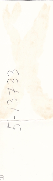 В коллекцию! Президиум VI Съезда ДОСААФ СССР. Москва,1967 г.