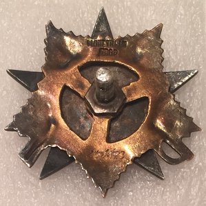 Орден Отечественной войны 1 ст.,№250***