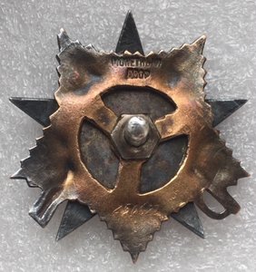 Орден Отечественной войны 1 ст.,№250***