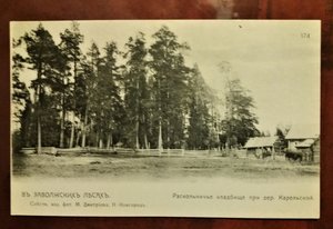 В Заволжских лесах,Волга и Поволжье. (4 шт.)