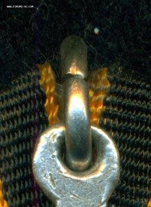 Орден Славы 3 ст. № 318 ***