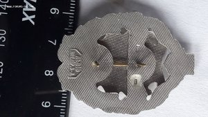 Заслужений Лісівник