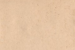 Встреча М.В.Фрунзе на Московском вокзале. Лнг. 1925 г. 2 сн.