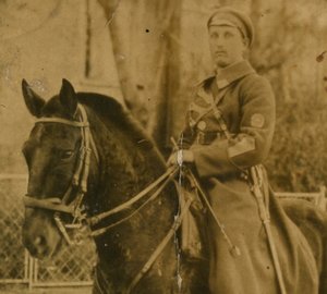 Кавалерист с нарукавной нашивкой на коне