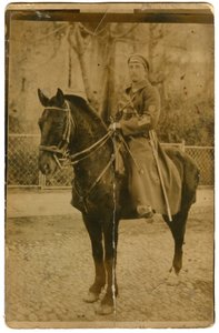 Кавалерист с нарукавной нашивкой на коне