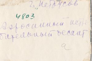 Аэросани в бою. Подборка фото. ВОВ. 1942-43 гг.