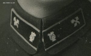 Музыкант ВОХР НКПС. Два петличных знака! 1927 г.