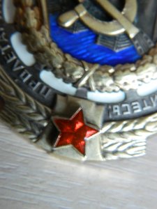 Трудовик №313825