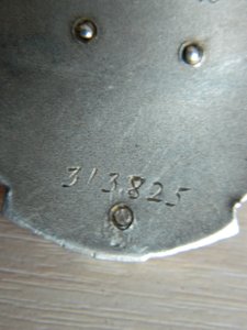 Трудовик №313825