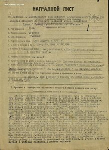 ОВ 1ст. Летчик. ГСС.