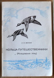 ПОПОЛНЯЕМАЯ-6 Спорт охота рыбалка