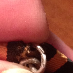 Слава 3 - 588427