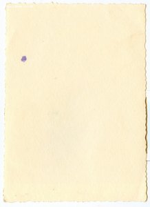 Капитан Госбезопасности. ЖД Эмблемы на Погонах