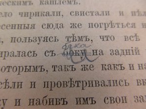 Аренс Е. И. Из плавания на клипере «Стрелок» в 1883—1885 гг.