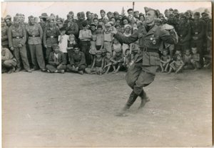 Мусульмане в вермахте, награды