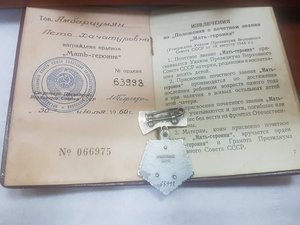 Мать героиня с одним документом №63998