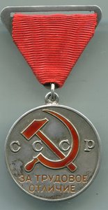 Трудовое отличие треуголка+док