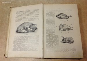 Поварское искусство 1902 год Зеленко !!
