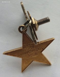 Медаль Герой Соц Труда Золото (6).