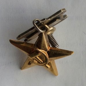 Медаль Герой Соц Труда Золото (6).