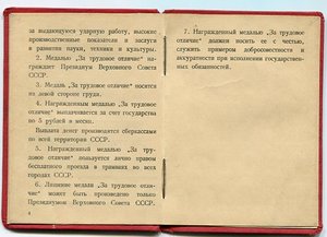 Трудовое отличие треуголка+док