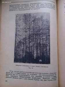 Лесная таксация Орлов 1925 год изд.