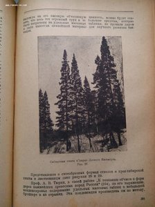 Лесная таксация Орлов 1925 год изд.