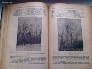 Лесная таксация Орлов 1925 год изд.